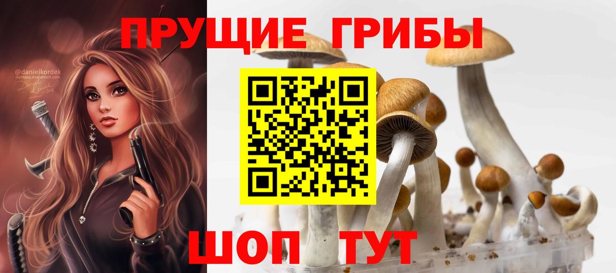 Псилоцибиновые грибы прущие грибы  Вход с VPN  Когалым 